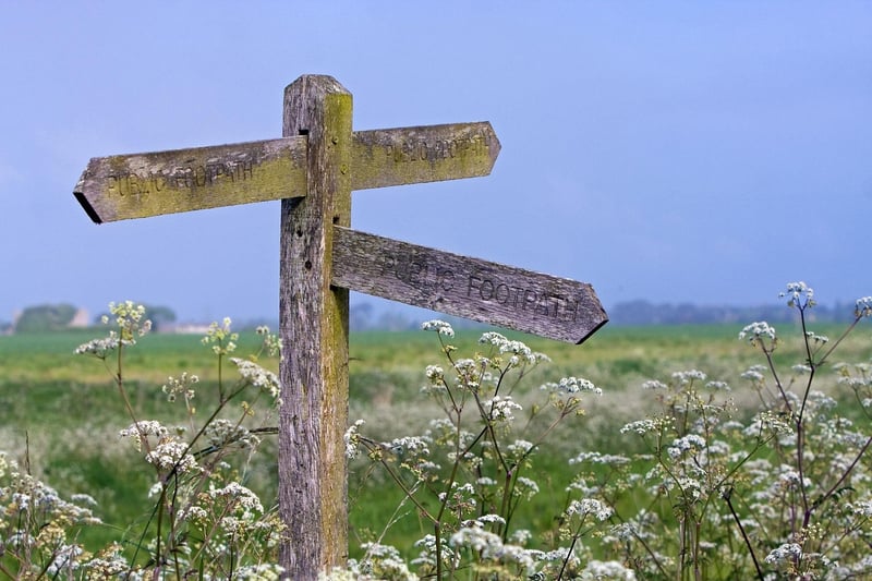 Navigating Trails